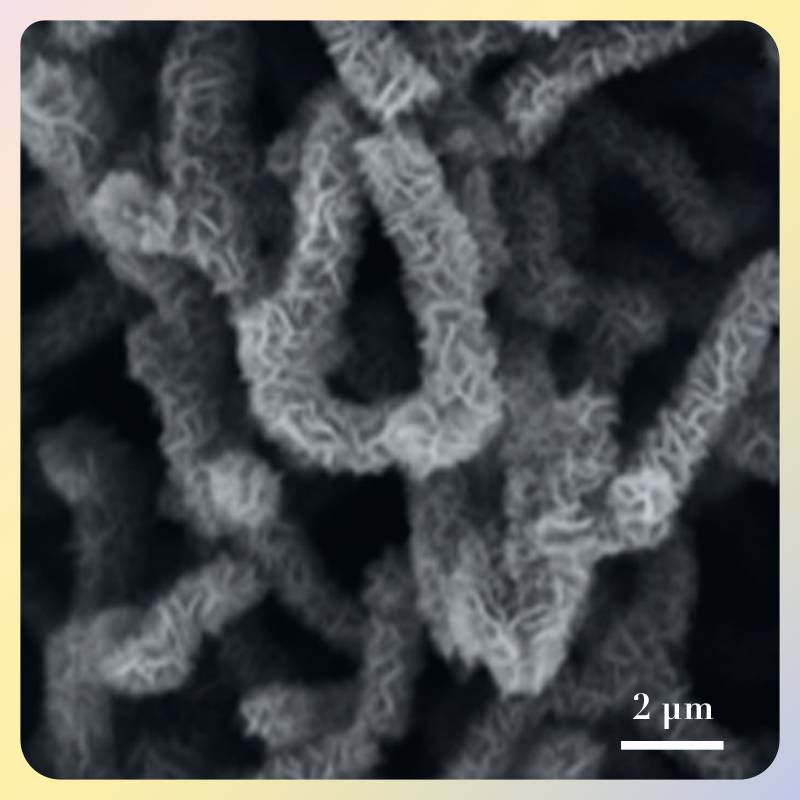carbon nanotubes