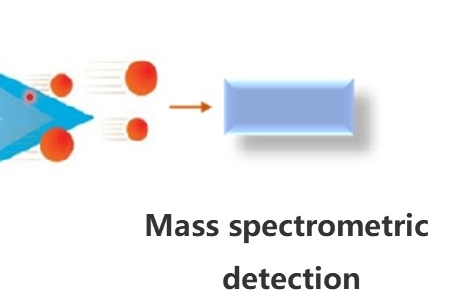 The-principle-diagram-of-ICP-MS