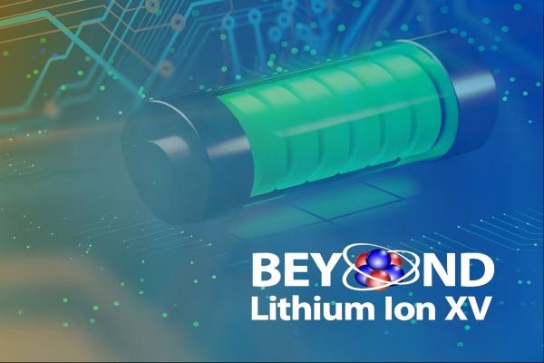 The 2025 BLI-XV will focus on the holistic design of energy storage and conversion beyond lithium ion.