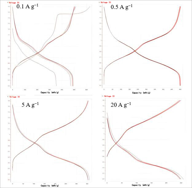 Figure 5. Charge-discharge curves at different current densities