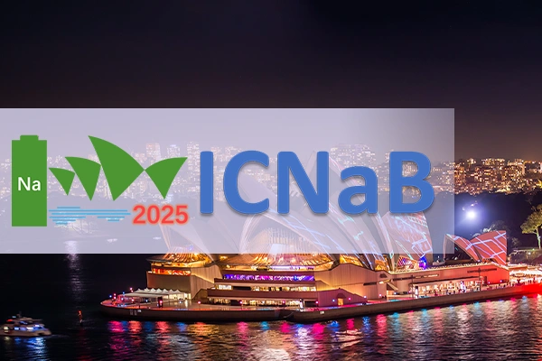 10th International Conference on Sodium Batteries (ICNaB) 2025