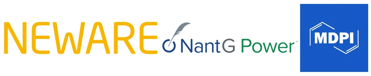 NEWARE-2024 Battery Safety Workshop