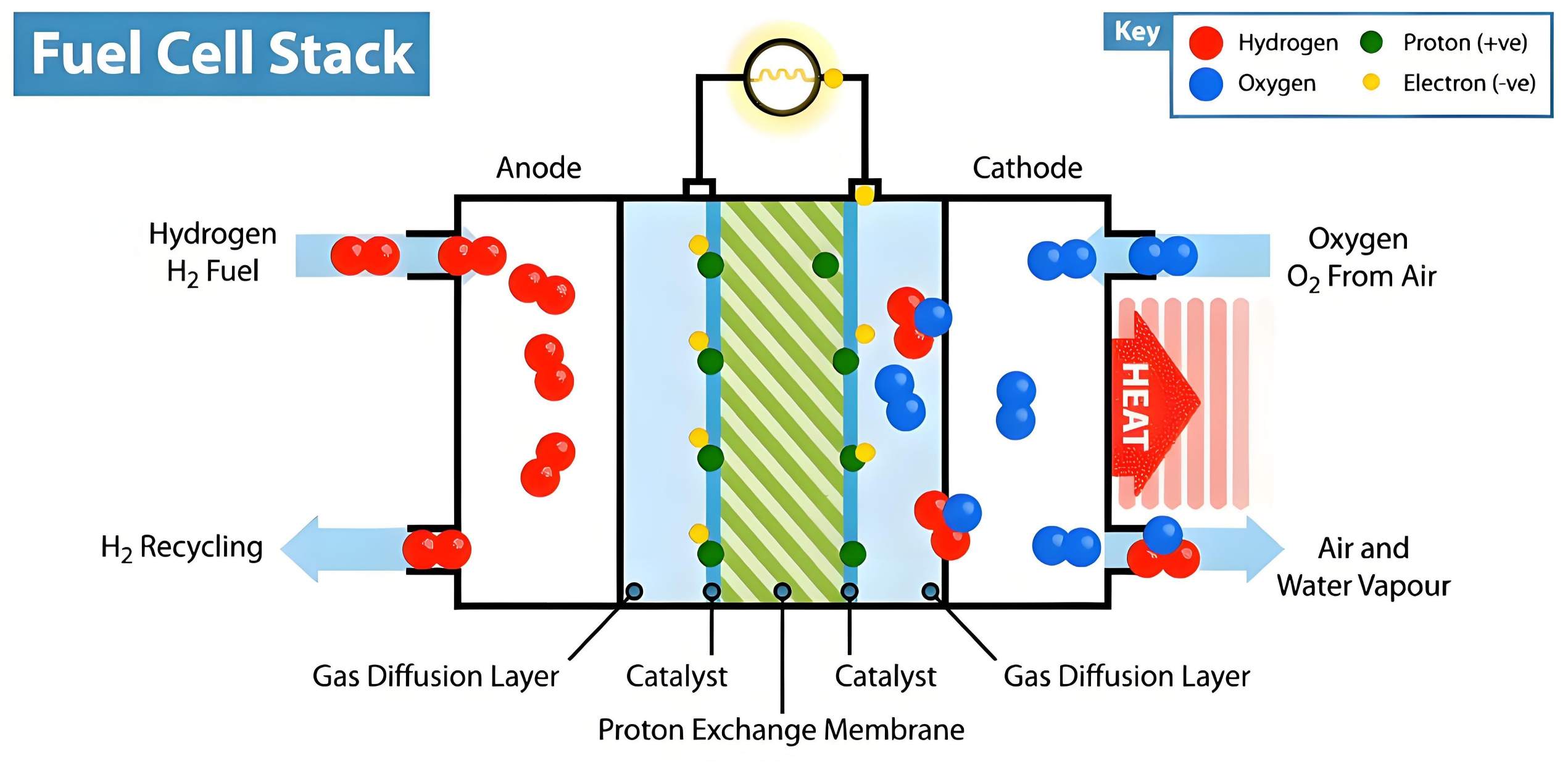 Working principle diagram of hydrogen fuel cell (proton exchange membrane fuel cell)