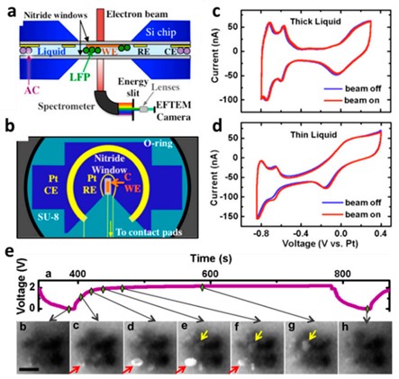 Schematic diagram of the TEM holder cross-section