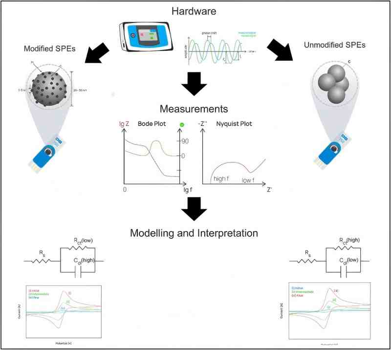 schematic diagram of the diagnostic workflow for in situ EIS based sensor performance evaluation (SPEs)