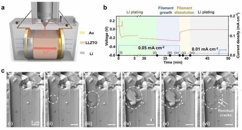 (a) Experimental setup for in situ observation of lithium dendrite growth within the SSE, (b-c) current-voltage changes in the electrochemical curve and the corresponding cross-sectional morphological evolution of the in