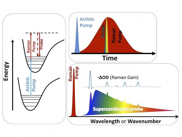 Pump-Probe spectroscopy system