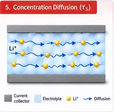 tau5 concentration diffusion process